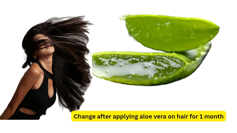 Changes after applying aloe vera to hair for 1 month